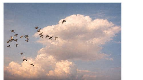 The Sky is Beautiful Bild 1