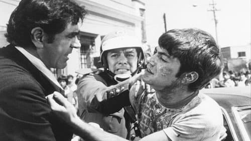 Perro callejero Bild 1