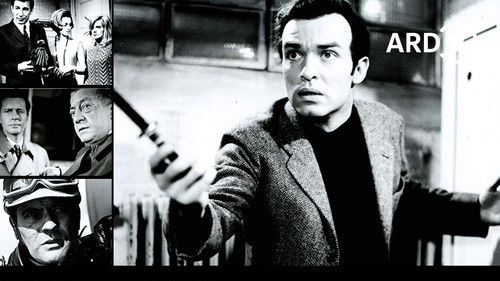 Polizeifunk ruft Bild 1