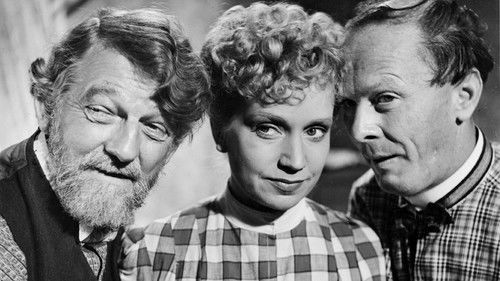 Bröderna Östermans huskors Bild 1