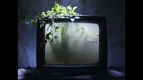 What the Water Gave Us Bild 1