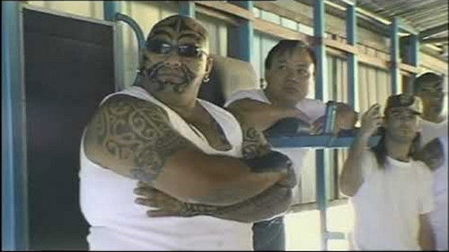 Aussie Park Boyz Bild 2