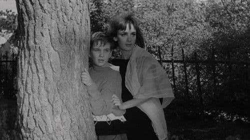 Les chiens dans la nuit Bild 4