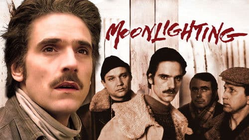 Schwarzarbeit Bild 7