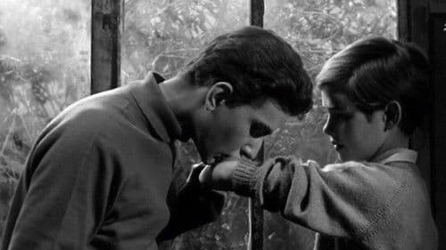 Heimliche Freundschaften Bild 3