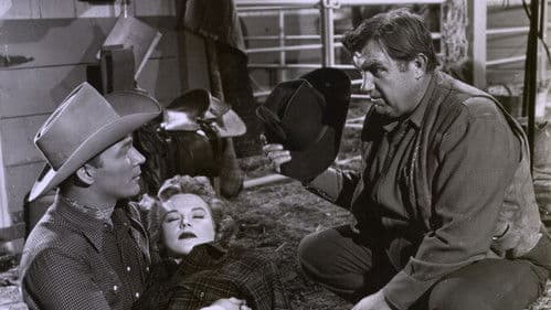 Under California Stars Bild 1