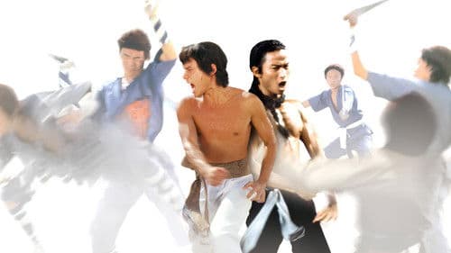 Shaolin - Die Rache mit der Todeshand Bild 1