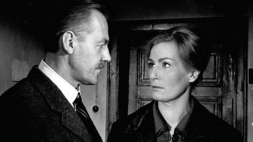 Wolf unter Wölfen Bild 2