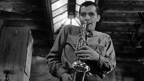 The Connection Bild 3