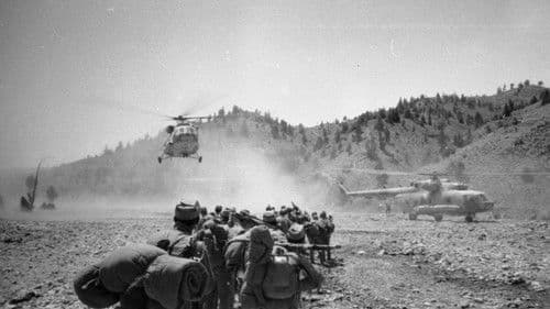 Афганский сонник Bild 1