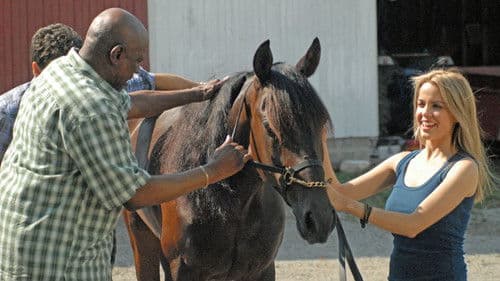 Ein Pferd fürs Leben Bild 1