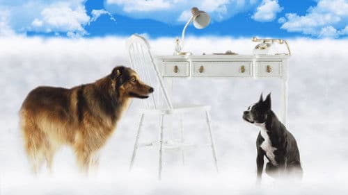 Best Friend from Heaven Bild 3