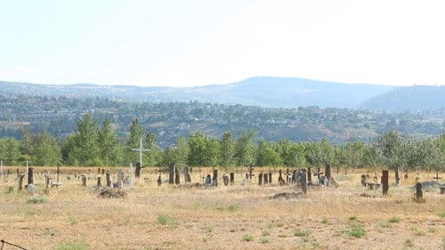 Gentleman Bandit Bild 1