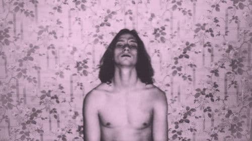 Le coeur du masturbateur Bild 2