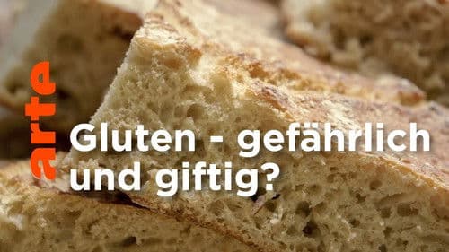 Gluten, der Feind in deinem Brot Bild 1