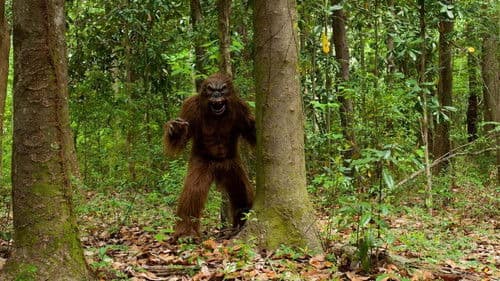 Night Claws - Die Nacht der Bestie Bild 1