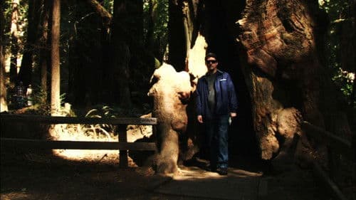 Super High Me Bild 4