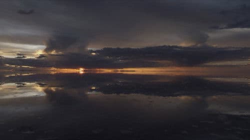 The Wild Andes Bild 5