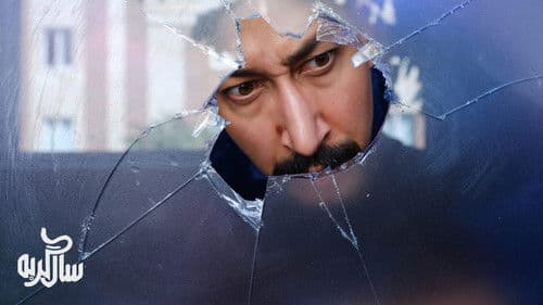 سال گربه Bild 5