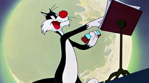 Konzertaner Katzenjammer Bild 2