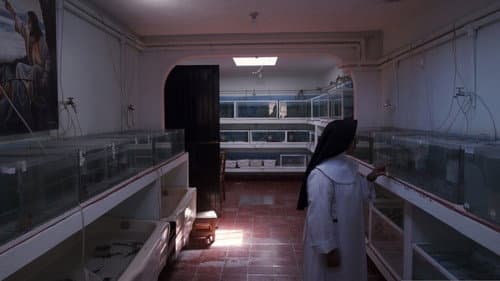 A Common Sequence Bild 2