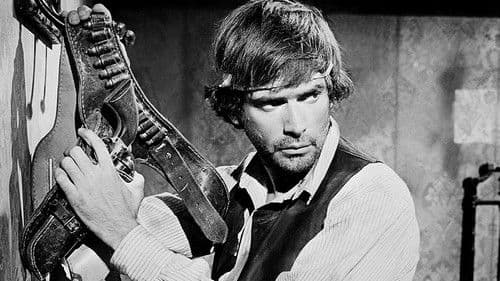 Töte, Django Bild 2