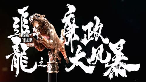 追龙番外篇之廉政大风暴 Bild 1