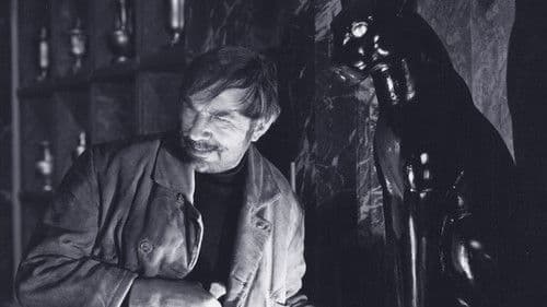 The Black Cat Bild 1