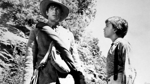 The Fool Killer Bild 1