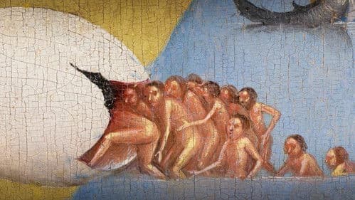 Apokalypse in den Tropen Bild 5