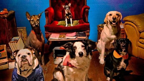 De patitas a la calle Bild 3