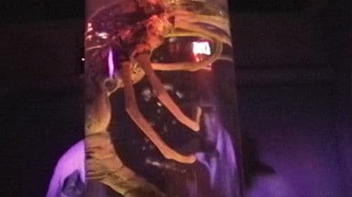 Invaders from Venus! Bild 2