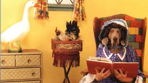 William Wegman's Mother Goose Bild 1