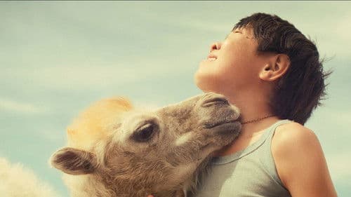 Небесный верблюд Bild 1