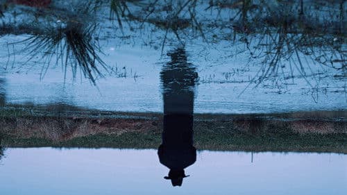 破碎太阳之心 Bild 1