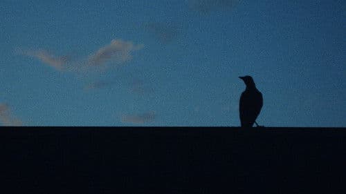 A Sign of Things Bild 1