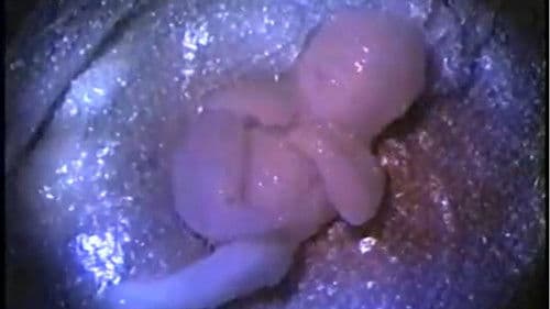 Busted Babies Bild 1