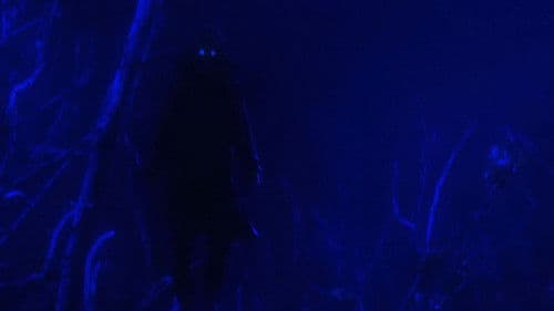 Remember To Enjoy The Light Before It’s Gone Bild 2