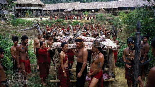 Farewell to the King Bild 8