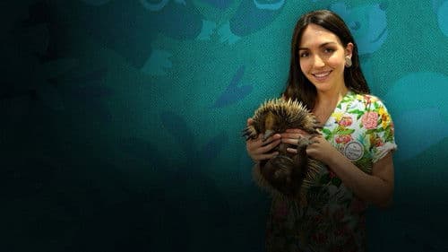 The Bizarre Pet Vets Bild 2