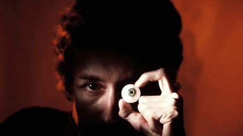 Der Mann mit dem Glasauge Bild 5