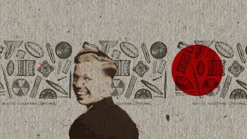 5000 Space Aliens Bild 7