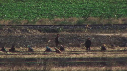 Flucht aus Nordkorea Bild 7