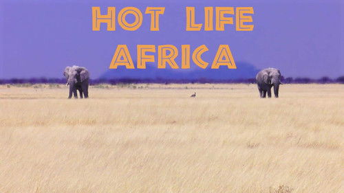 Hot Life: Africa Bild 4