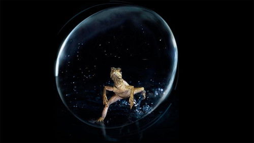 Life - Das Wunder Leben Bild 4