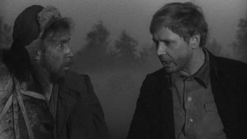 Волчья стая Bild 1