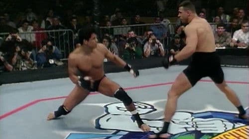 UFC 16: Battle In The Bayou Bild 1