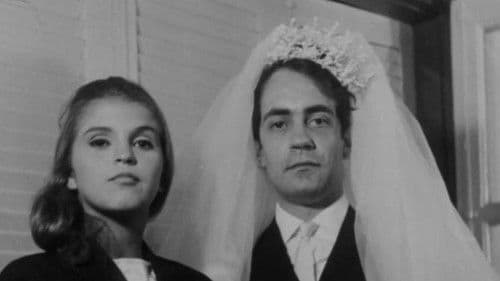 Todas as Mulheres do Mundo Bild 2