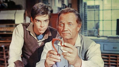 Johnny Tremain Bild 1