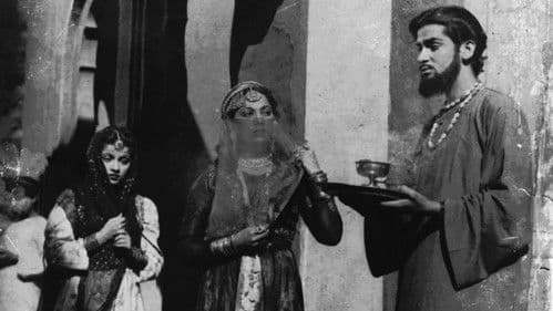 Shama Parwana Bild 1